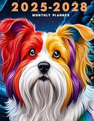 Vividly colored havanese for sale  Delivered anywhere in UK