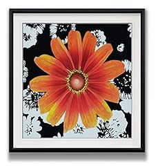 Renditions gallery black for sale  Delivered anywhere in USA 