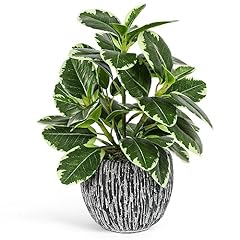 Artificial plants indoor for sale  Delivered anywhere in USA 