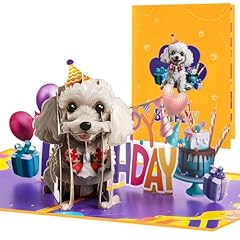 Cnlitiheka cute poodle for sale  Delivered anywhere in UK