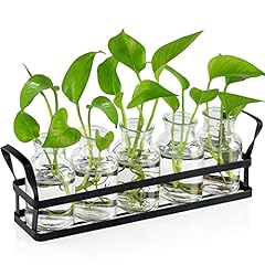 Jkwokback propagation stations for sale  Delivered anywhere in USA 