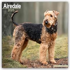Airedale 2025 square for sale  Delivered anywhere in UK