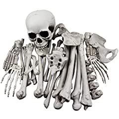 Xonor stück skelettknochen gebraucht kaufen  Wird an jeden Ort in Deutschland