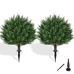 Grooy artificial cypress for sale  Delivered anywhere in USA 