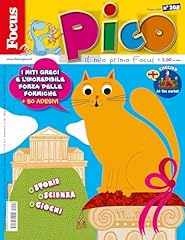 Focus pico 2025 usato  Spedito ovunque in Italia 