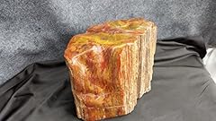 Contour polished petrified for sale  Delivered anywhere in USA 