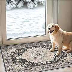 Washable 2x3 entryway for sale  Delivered anywhere in USA 