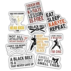 Karate stickers funny for sale  Delivered anywhere in USA 
