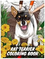 Rat terrier coloring for sale  Delivered anywhere in UK