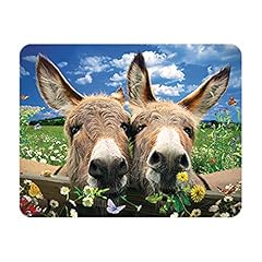 Livelife magnet donkeys for sale  Delivered anywhere in UK