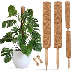Joyseus inch moss for sale  Delivered anywhere in USA 