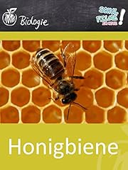 Honigbiene schulfilm biologie gebraucht kaufen  Wird an jeden Ort in Deutschland