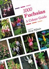 1000 fuchsias for sale  Delivered anywhere in UK