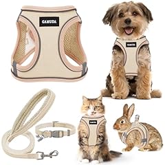 Gamuda small pet for sale  Delivered anywhere in USA 