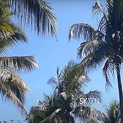 Skan for sale  Delivered anywhere in UK