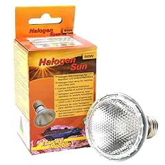 Lucky reptile halogen gebraucht kaufen  Wird an jeden Ort in Deutschland