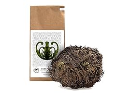 Yakeba rose jericho gebraucht kaufen  Wird an jeden Ort in Deutschland