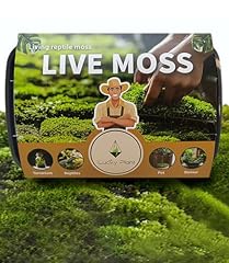 Lucky plant live for sale  Delivered anywhere in USA 