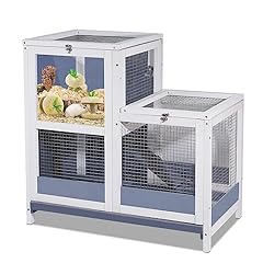 Story guinea pig for sale  Delivered anywhere in USA 