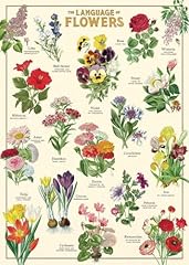 Cavallini co. decorative for sale  Delivered anywhere in USA 