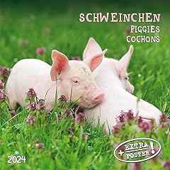 Piggies schweinchen 2024 gebraucht kaufen  Wird an jeden Ort in Deutschland