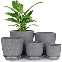 Homenote plastic planter for sale  Delivered anywhere in USA 