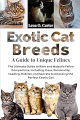 Exotic cat breeds for sale  Delivered anywhere in UK