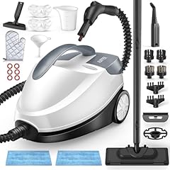 Dampfreiniger steam cleaner gebraucht kaufen  Wird an jeden Ort in Deutschland