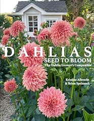Dahlias seed bloom usato  Spedito ovunque in Italia 