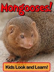 Mongooses learn mongooses for sale  Delivered anywhere in USA 