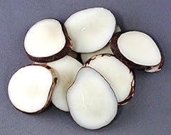 Tagua nut slices for sale  Delivered anywhere in USA 