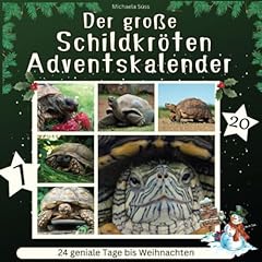 Große schildkröten adventska gebraucht kaufen  Wird an jeden Ort in Deutschland