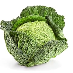 Cabbage plants savoy for sale  Delivered anywhere in UK