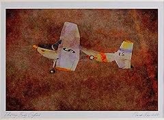 450066 cessna 180 for sale  Delivered anywhere in UK