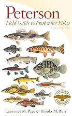 Peterson field guide for sale  Delivered anywhere in USA 