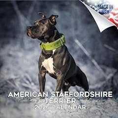 2025 2026 american for sale  Delivered anywhere in USA 