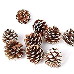 36pcs 4cm Christmas Pine Cones Pendant with String for sale  Delivered anywhere in USA 