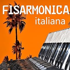 Vecchia fisarmonica usato  Spedito ovunque in Italia 