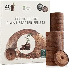 Owngrown coconut spring for sale  Delivered anywhere in UK