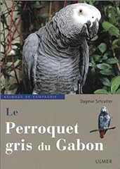 Perroquet gris gabon d'occasion  Livré partout en Belgiqu