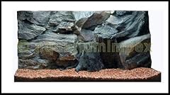 Aquarienrückwand 60x30 root gebraucht kaufen  Wird an jeden Ort in Deutschland