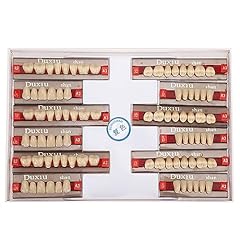 Natudeco denti resina usato  Spedito ovunque in Italia 