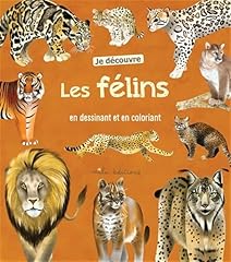Découvre félins dessinant d'occasion  Livré partout en France