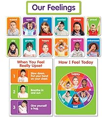 Scholastic feelings bulletin for sale  Delivered anywhere in USA 