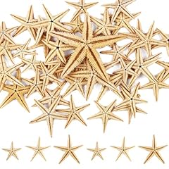 Stelle marine stelle usato  Spedito ovunque in Italia 