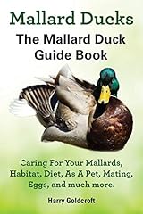 Mallard ducks mallard for sale  Delivered anywhere in Ireland