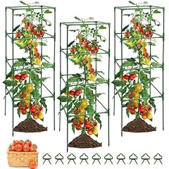 Mymulike pack tomato for sale  Delivered anywhere in USA 