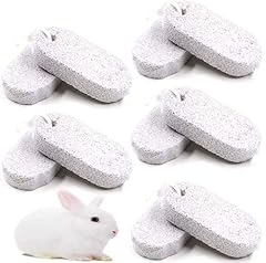 Pinvnby pcs rbbits for sale  Delivered anywhere in USA 