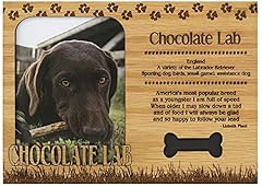 Chocolate lab engraved for sale  Delivered anywhere in USA 