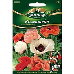 Riesenmohn türkischer mohn gebraucht kaufen  Wird an jeden Ort in Deutschland